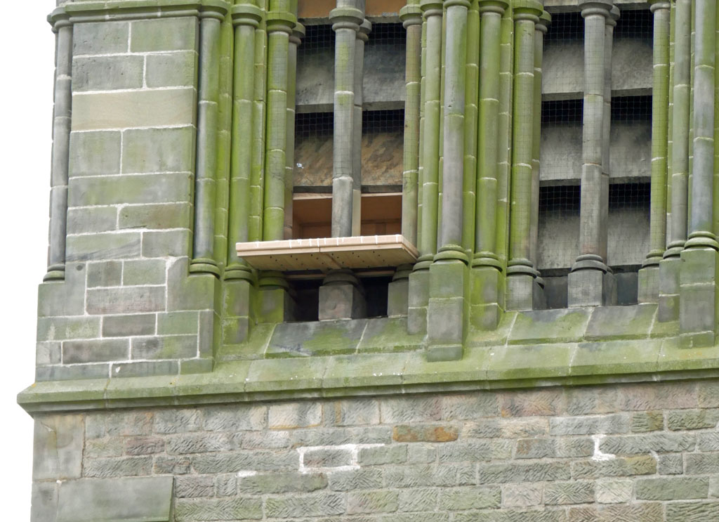 The nestbox and ledge on the east section of the Leicester Cathedral Tower - Leicester Peregrines