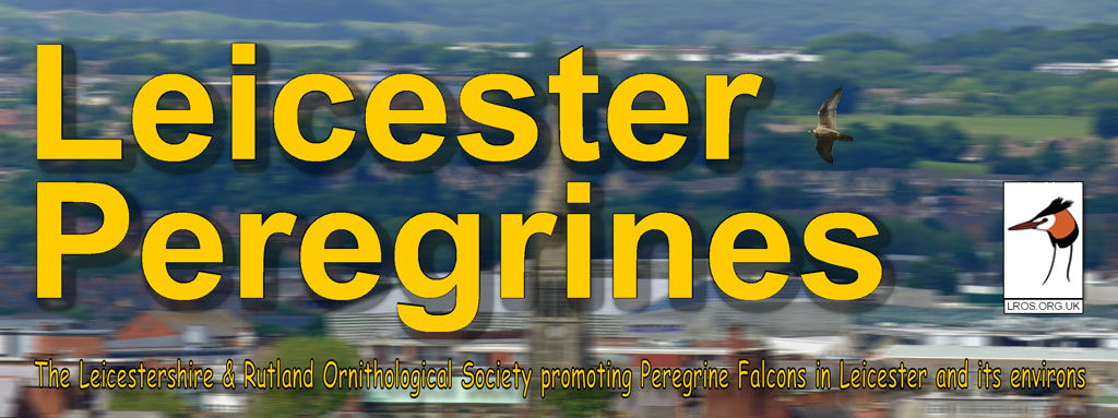 Promoting Peregrine Falcons in Leicester and it's Environs Logo